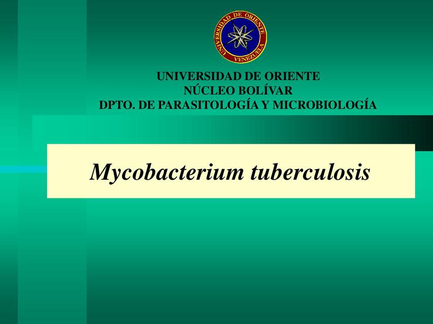 Mycobacterium tuberculosis 