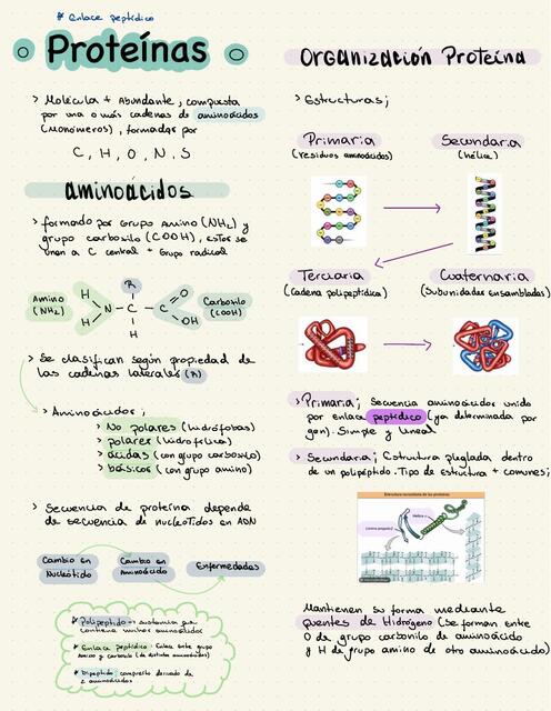 Proteínas