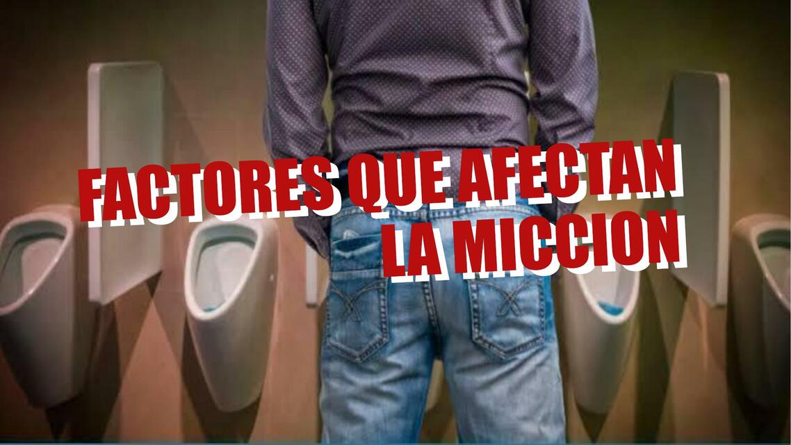 Factores  Que  Afectan  La Micción 