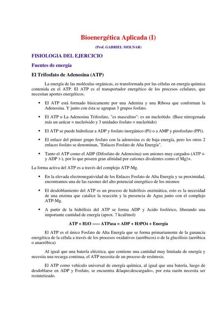 Rutas centrales del metabolismo energético celular