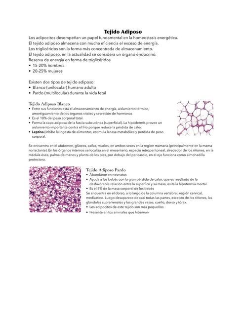 Resumen de Tejido Adiposo Histología 