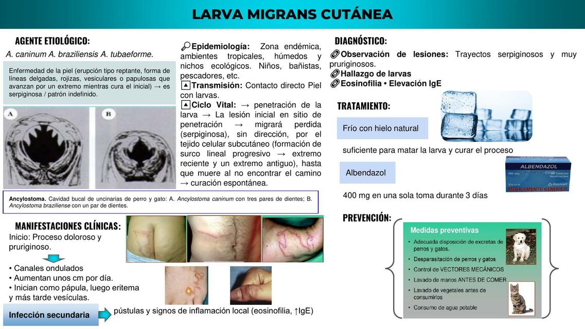 Larva Migrans Cutánea 