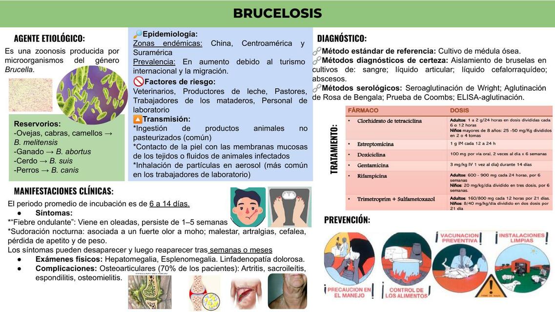 Brucelosis y Fiebre Amarilla