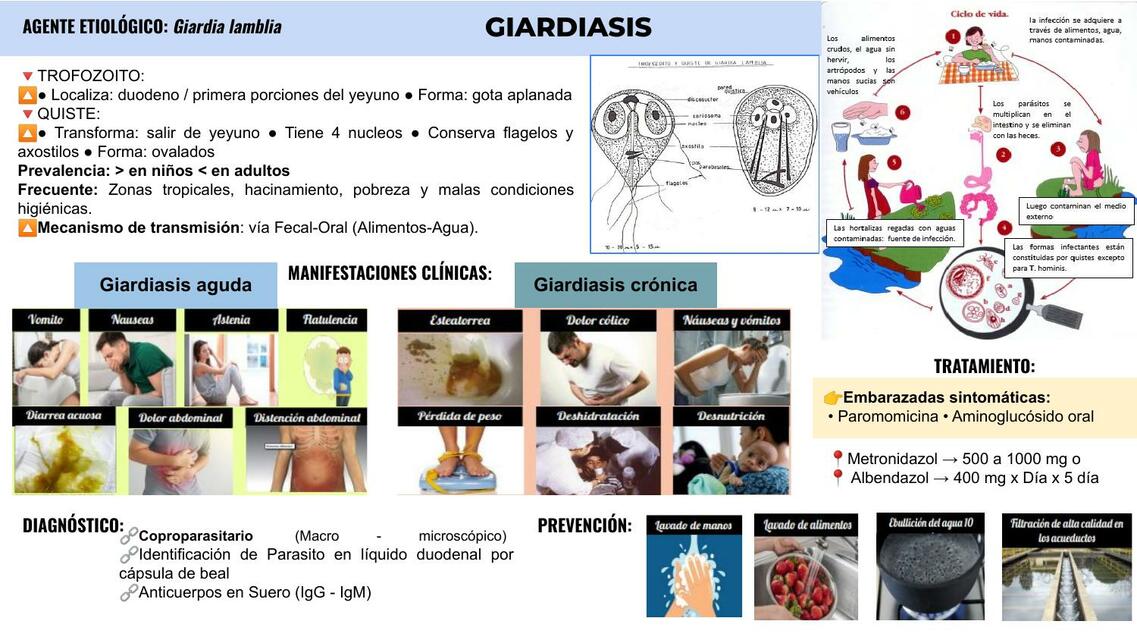 Giardiasis