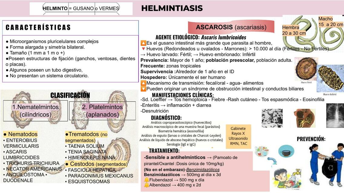 Helmintiasis 