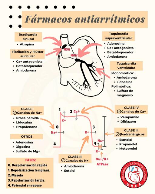 Fármacos Antiarrítmicos 