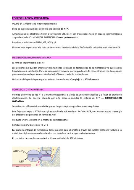 Fosforilación oxidativa