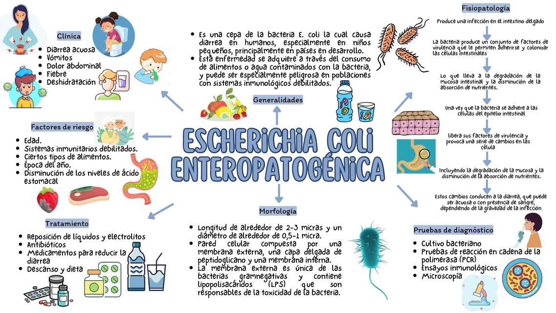 E.coli enteropatogénica