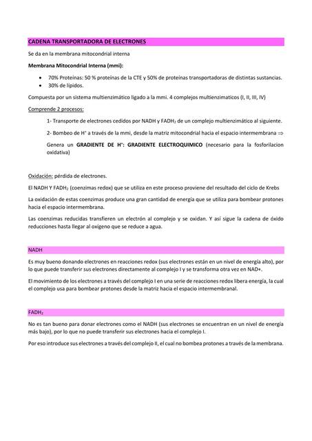 Cadena  Transportadora  De Electrones 