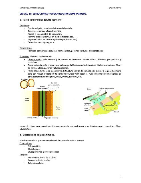  Estructuras y orgánulos no membranosos