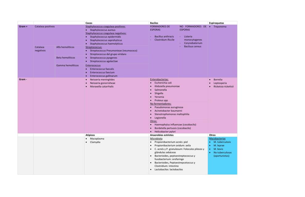 Clasificación de Bacterias 