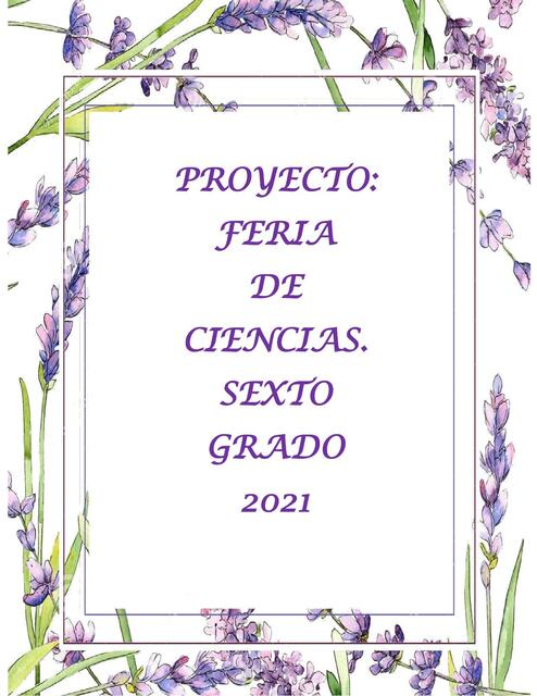 Proyecto: Feria de Ciencias