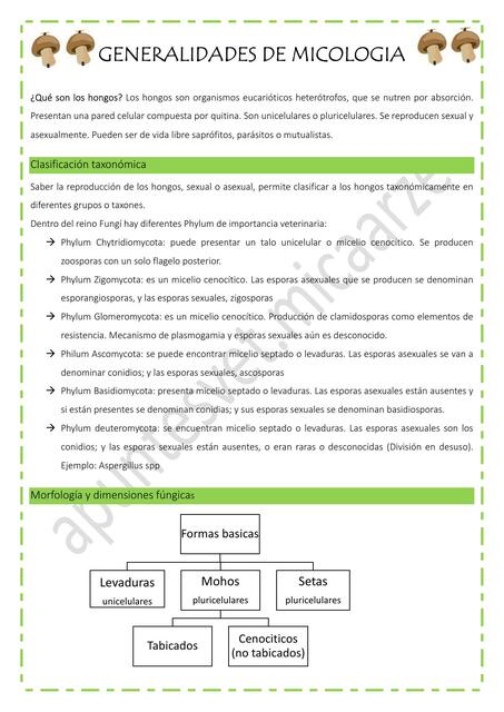 Generalidades de micologia apunte de la clase