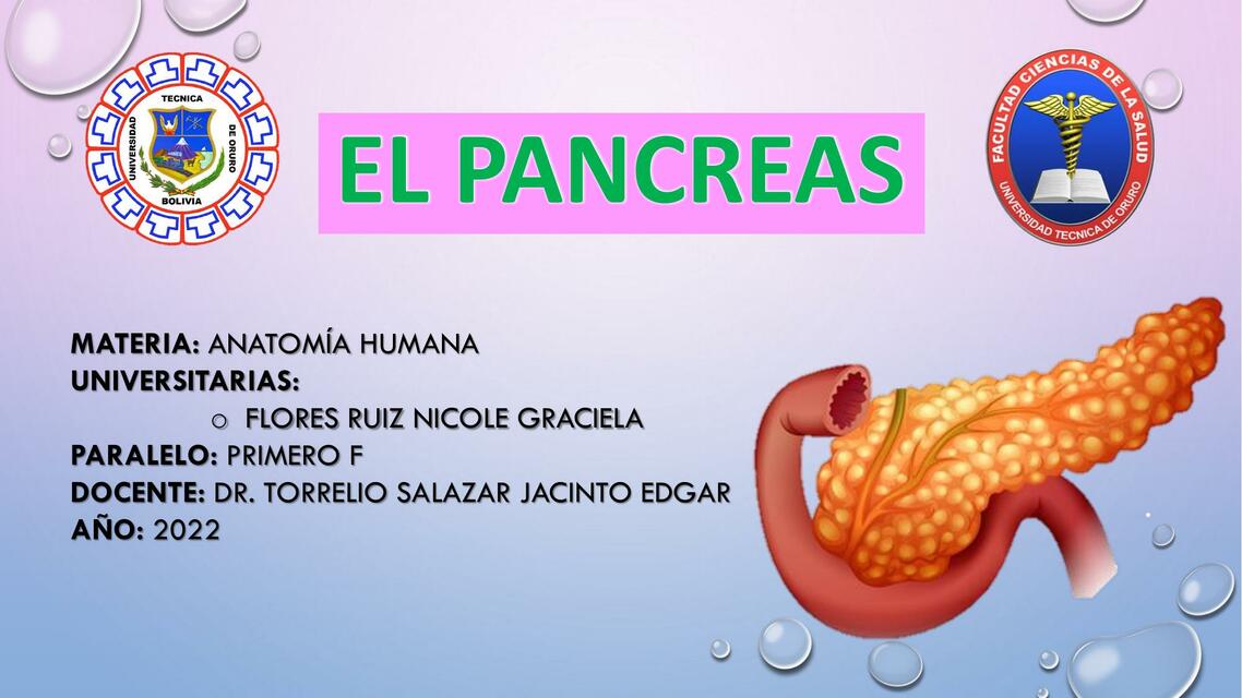 El Páncreas