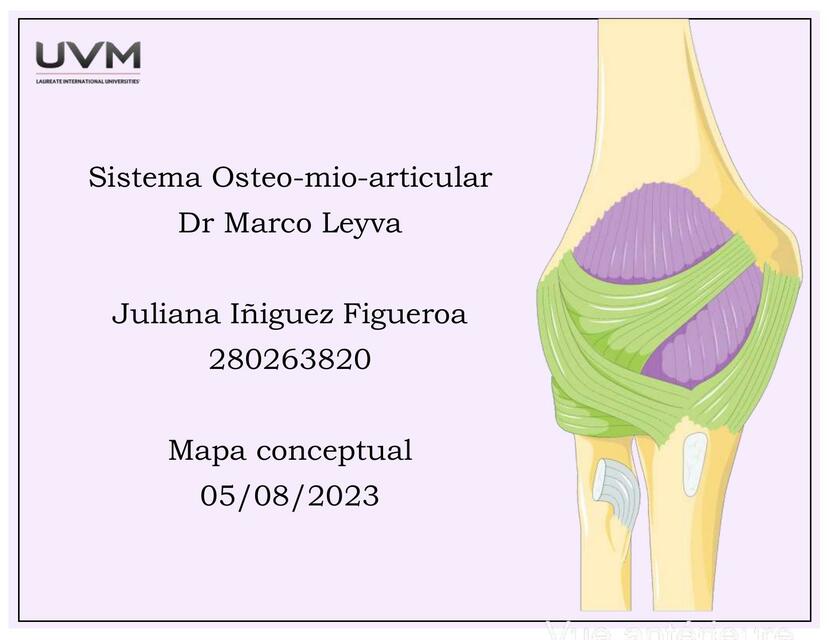 Sistema Osteo-Mio-Articular