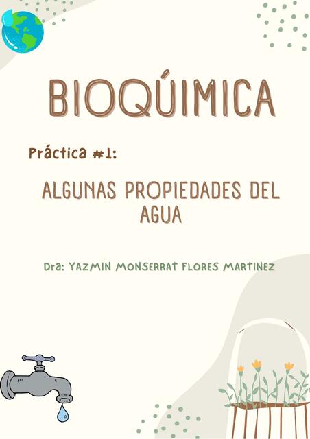 Práctica: Propiedades del Agua