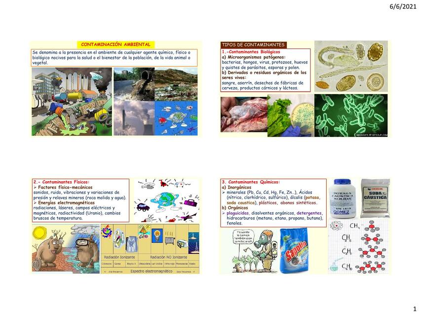 Contaminación ambiental 