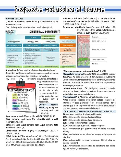 Respuesta Metabólica al Trauma