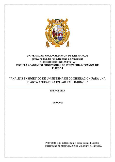 INFORME DE ENERGETICA-ANALISIS EXERGETICO-UNMSM-IMF