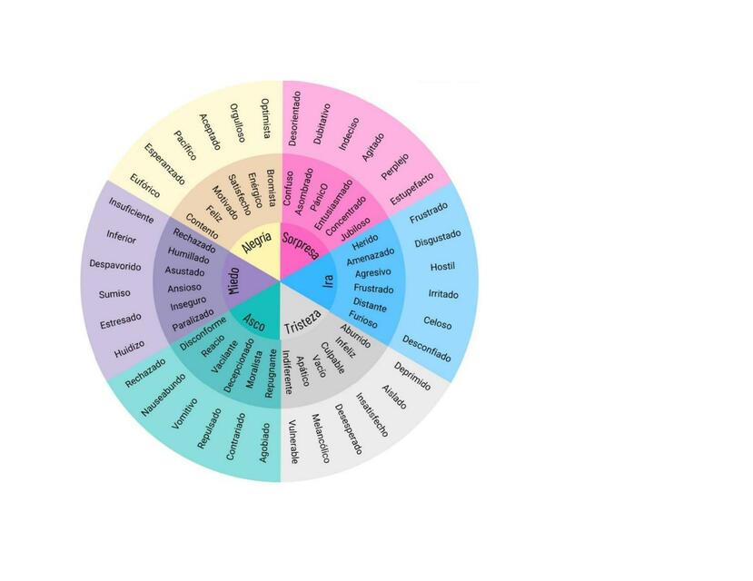 Emociones estados anímicos y sentimientos