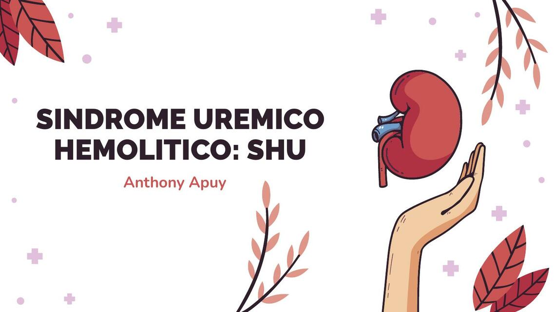 Síndrome urémico hemolítico