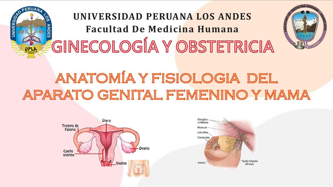 Anatomia y fisiologia del aparato genital femenino y mama 