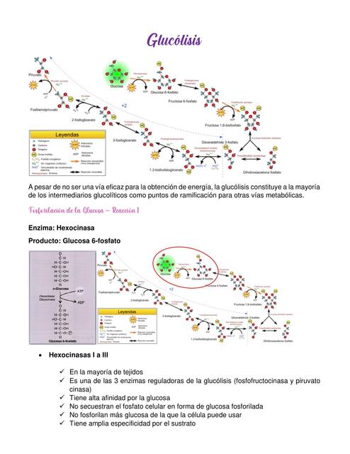 Glucólisis  