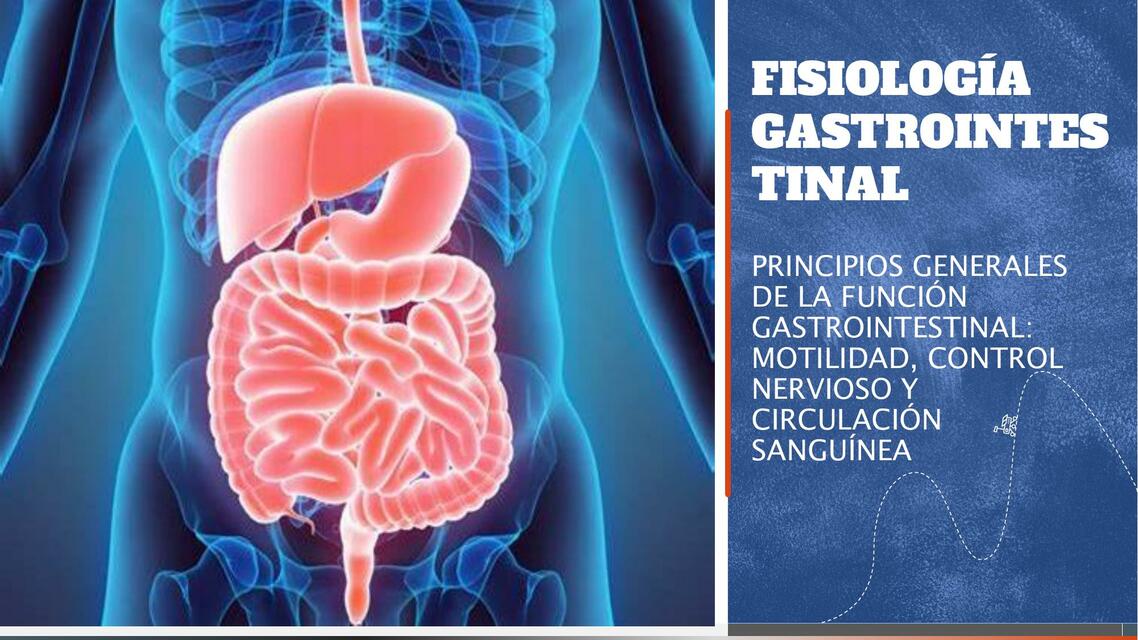 Fisiología gastroinstetinal