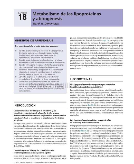 Metabolismo de las Lipoproteínas y Aterogénesis 