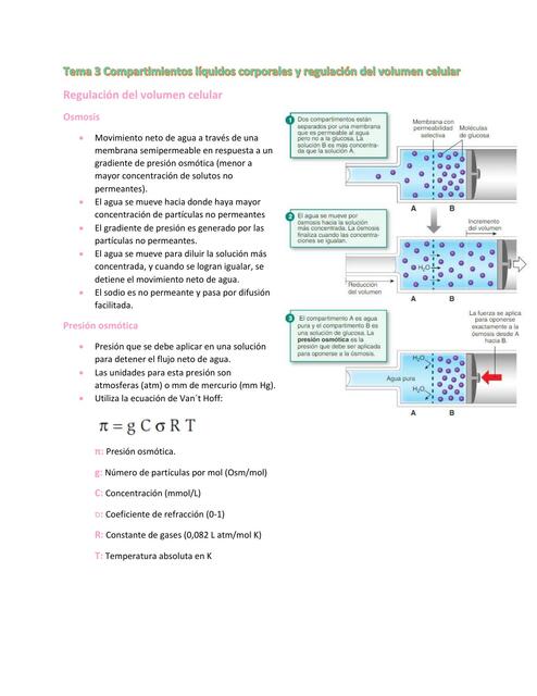 Tema 3 Compartimientos líquidos corporales 