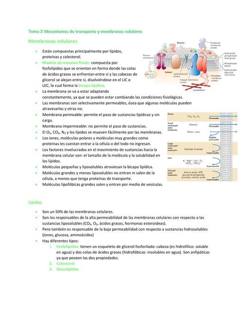 Tema 2 Mecanismos de transporte y membranas celulares  