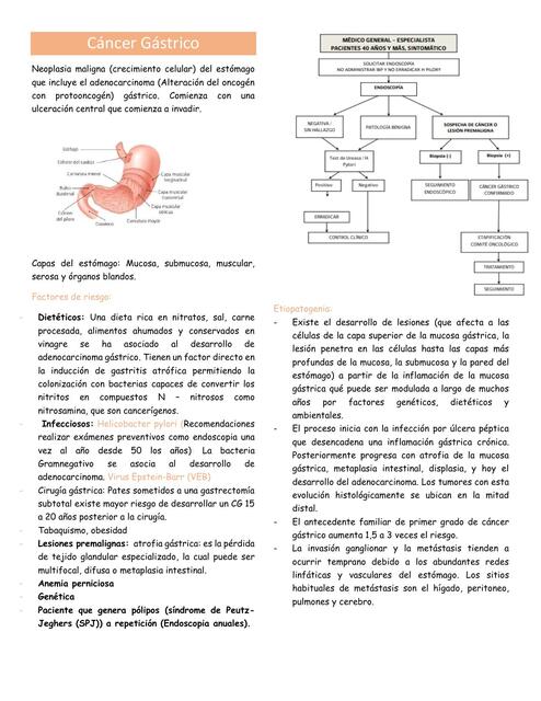 Cáncer gástrico 