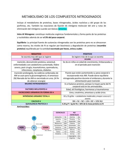 Metabolismo de los compuesto nitrogenados 