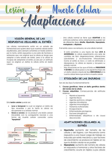 Lesión y muertes celular adaptaciones 