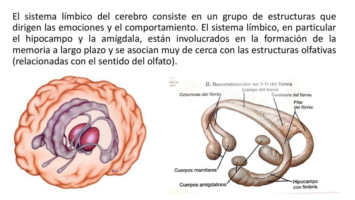 Presentación2 1pdf