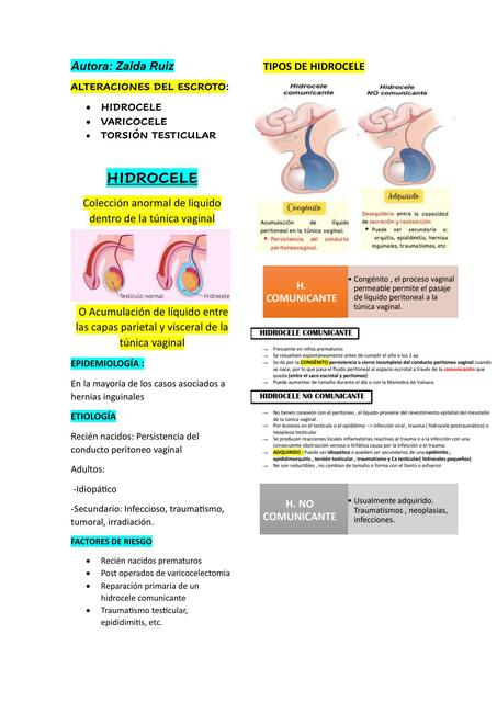 Alteraciones del Escroto 