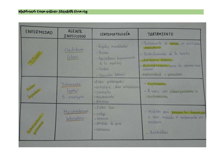 Enfermedades y sus tratamientos