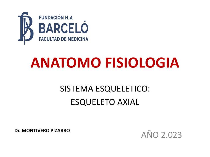 Sistema Esquelético: Esqueleto Axial 