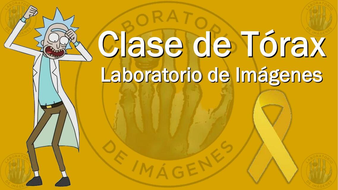 Clase de Tórax  