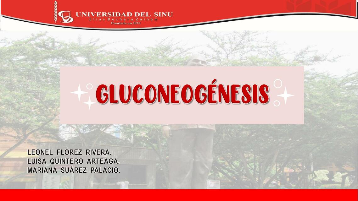 Gluconeogénesis 