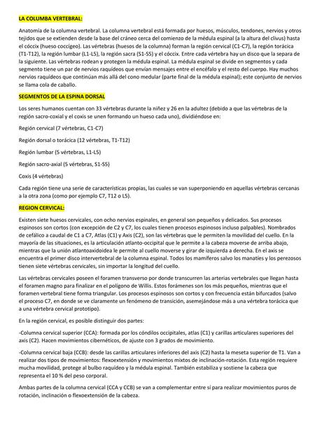 Columna vertebral  