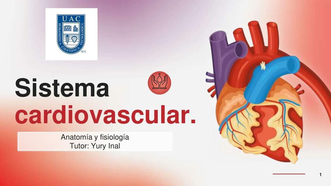 Sistema Cardiaco