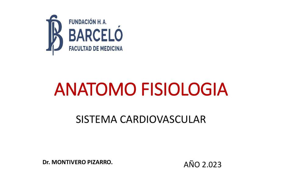 Sistema Cardiovascular