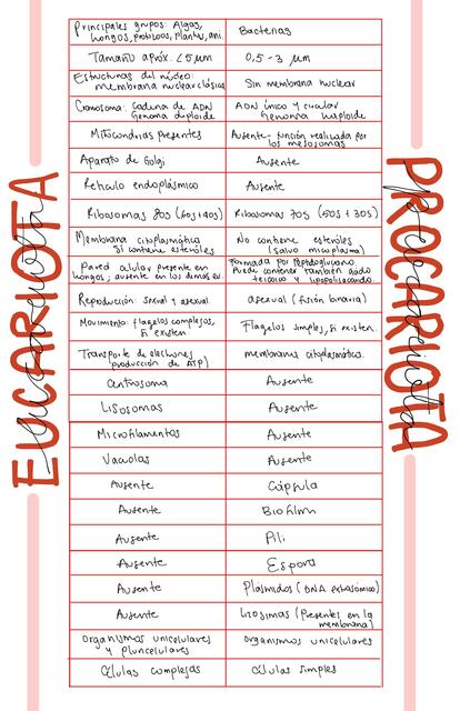 Diferencias entre célula eucariota y procariota