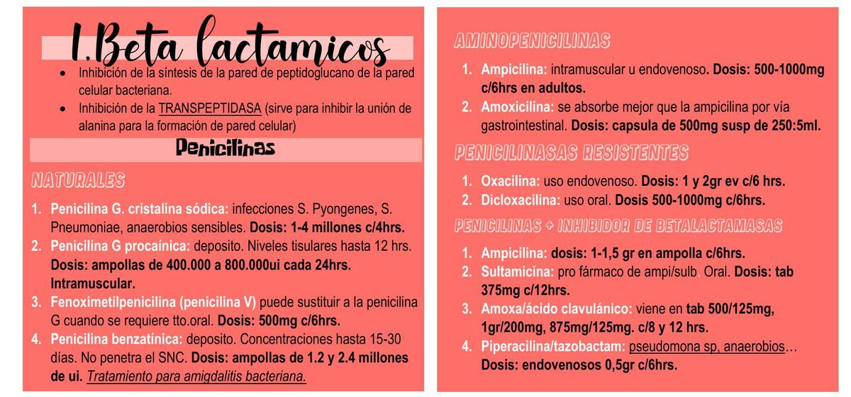 Flashcards antibióticos