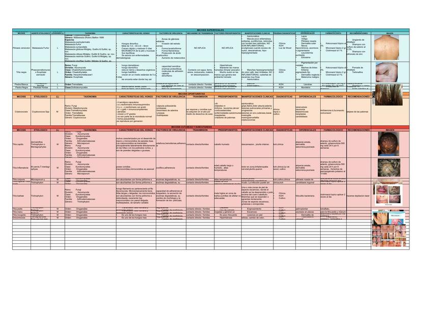 Resumen de micosis