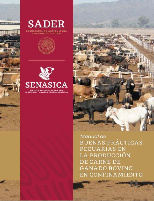 Manual de Buenas Prácticas Pecuarias en la Producción de Carne 