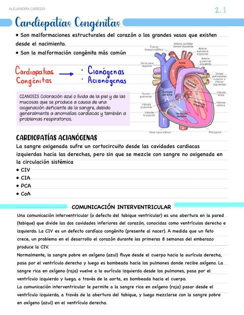 Cardiopatías congénitas 