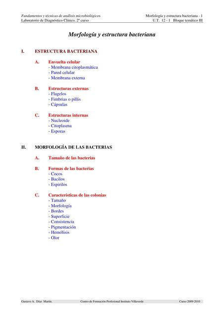 Morfología y estructura bacteriana