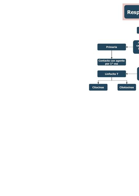 Respuesta Inmune Primaria y Secundaria